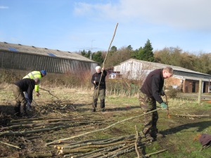 Working with the midweek volunteers to prepare stakes for hedging.
